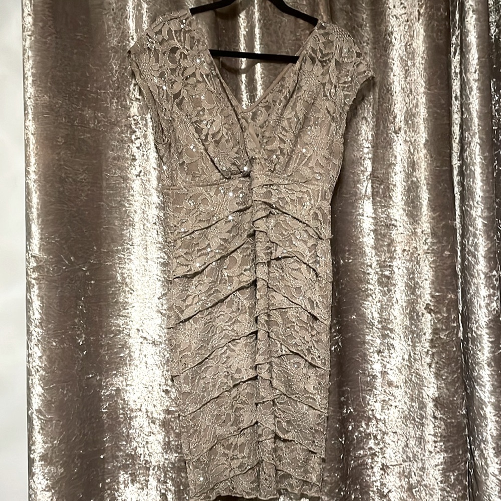 Stunning Lace taupe n silver sparkle stretch dress